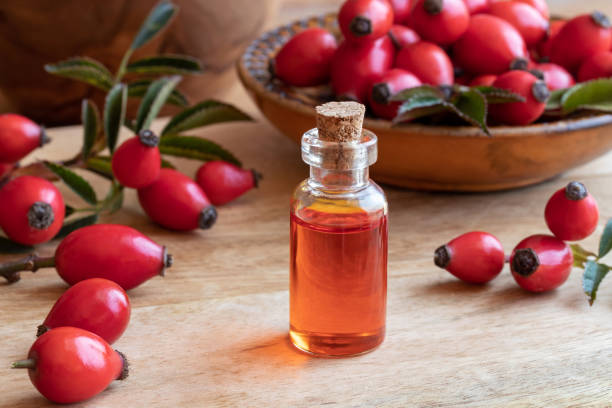 Rose hip Oil Nature's Retinol?